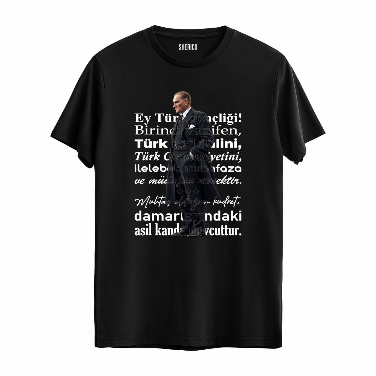 Atatürk Baskılı Tişört - Atatürk-4